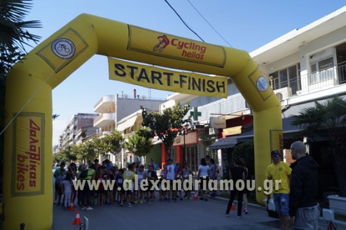 alexandriamou_1_alexandrinos_dromos107